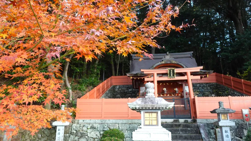 安倍文殊院白山堂の紅葉