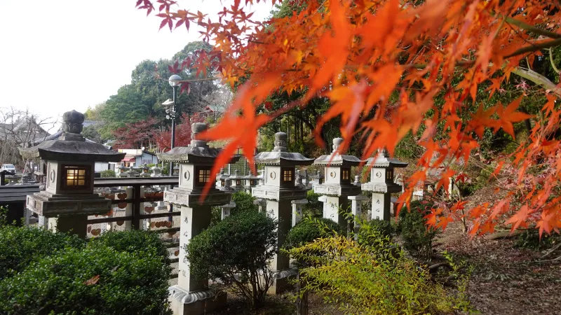 白山堂の紅葉