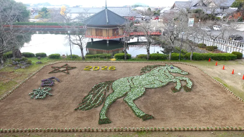 午年の干支花絵（安倍文殊院）