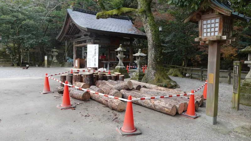 石上神宮の丸太