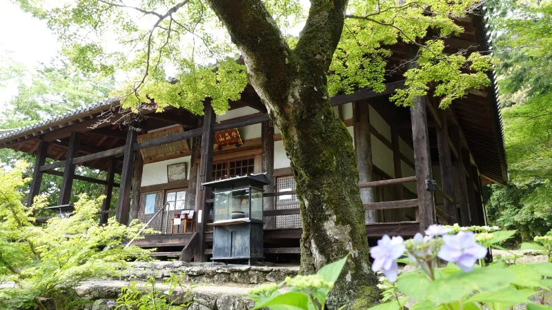 栄山寺本堂
